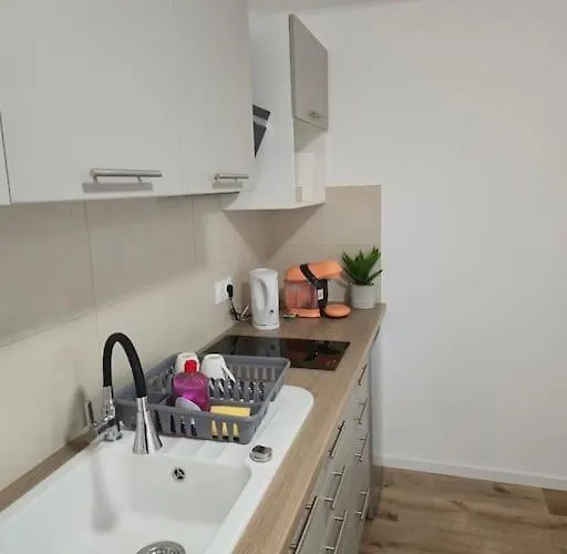 304 - Lafayette 公寓 斯特拉斯堡